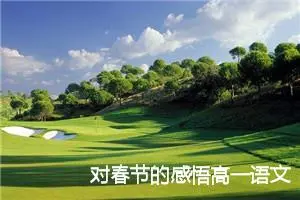 对春节的感悟高一语文作文(精选5篇)