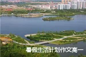 暑假生活计划作文高一(精选5篇)