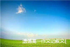 遗憾高一作文记叙文(精选5篇)