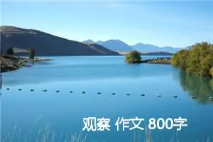 观察 作文 800字