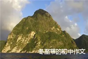 冬至节的初中作文