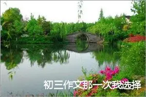 初三作文那一次我选择了坚强(精选5篇)