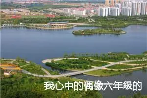 我心中的偶像六年级的作文(精选5篇)