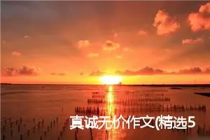 真诚无价作文(精选5篇)