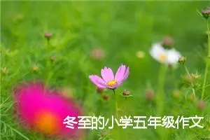 冬至的小学五年级作文500字(精选6篇)
