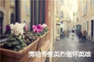 清明节祭英烈缅怀英雄作文(精选5篇)