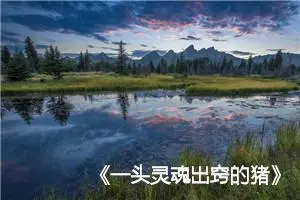 《一头灵魂出窍的猪》读后感四年级作文