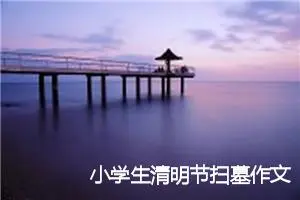 小学生清明节扫墓作文(精选22篇)