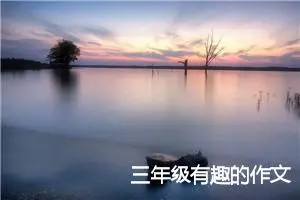 三年级有趣的作文