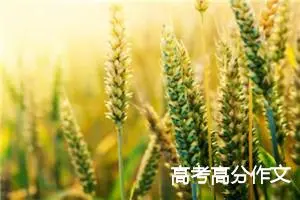 高考高分作文