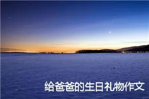 给爸爸的生日礼物作文