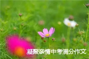 凝聚亲情中考满分作文