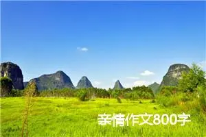 亲情作文800字
