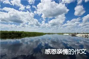 感恩亲情的作文