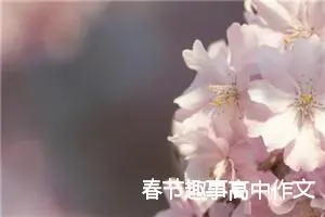 春节趣事高中作文