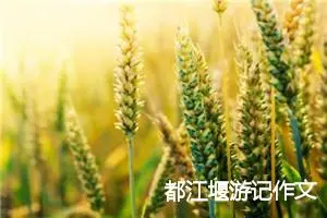 都江堰游记作文