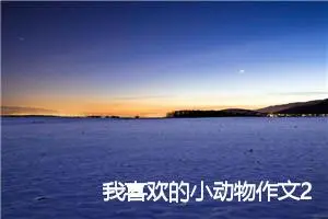 我喜欢的小动物作文250字