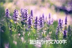 篮球的作文700字
