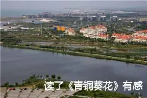 读了《青铜葵花》有感作文