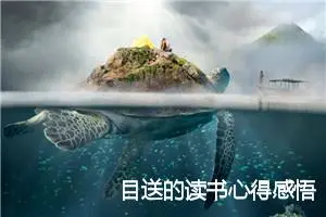 目送的读书心得感悟