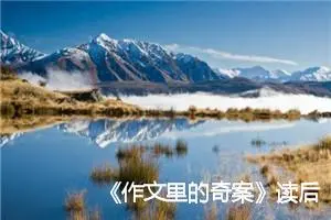 《作文里的奇案》读后感