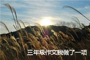 三年级作文我做了一项小实验