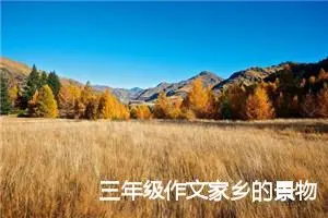 三年级作文家乡的景物