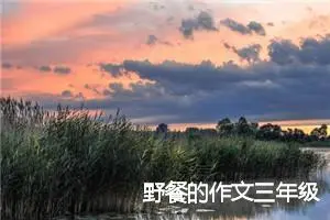 野餐的作文三年级