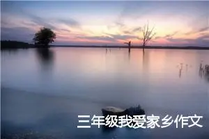 三年级我爱家乡作文