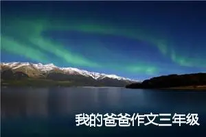 我的爸爸作文三年级