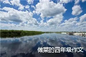 做菜的四年级作文