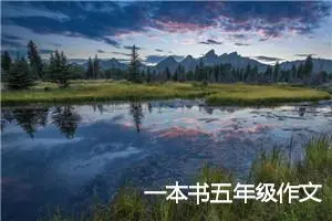一本书五年级作文