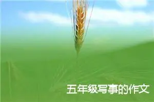五年级写事的作文