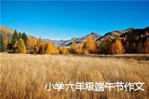 小学六年级端午节作文