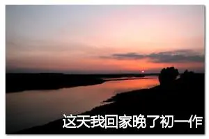 这天我回家晚了初一作文600字