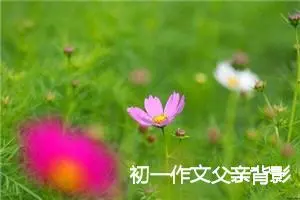 初一作文父亲背影