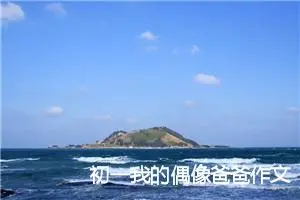 初一我的偶像爸爸作文