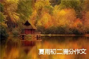 夏雨初二满分作文