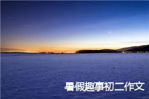 暑假趣事初二作文