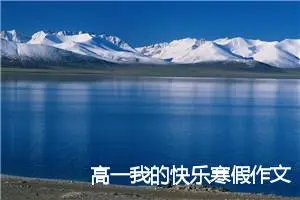 高一我的快乐寒假作文600字(精选5篇)