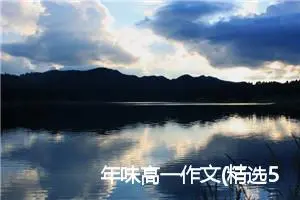 年味高一作文(精选5篇)