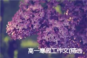 高一寒假工作文(精选5篇)