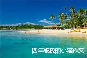 四年级我的小猫作文