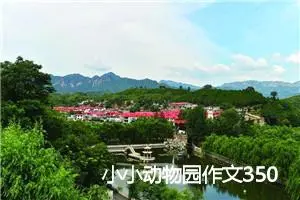 小小动物园作文350字(精选18篇)
