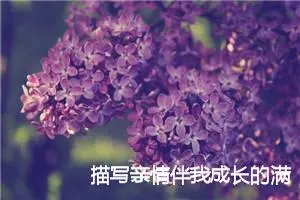 描写亲情伴我成长的满分作文(精选5篇)