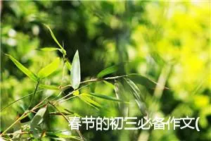 春节的初三必备作文(精选5篇)