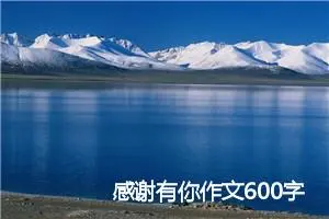 感谢有你作文600字初三(精选5篇)