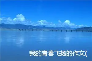 我的青春飞扬的作文(精选5篇)