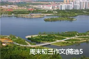 周末初三作文(精选5篇)