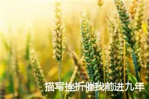 描写挫折催我前进九年级作文(精选5篇)